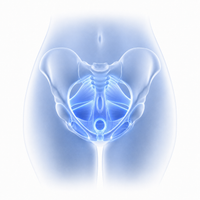 Pelvic Training Mode